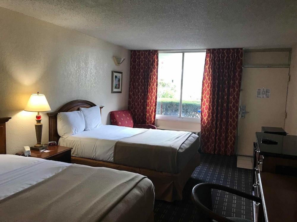 Quality Inn Tampa Lake Magdalene Ngoại thất bức ảnh