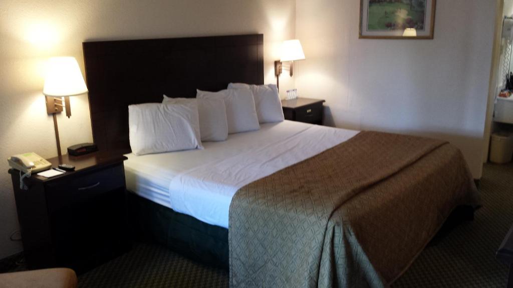 Quality Inn Tampa Lake Magdalene Phòng bức ảnh